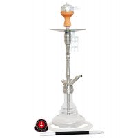 Amy Shisha - SS07 Palm Steel Transparent