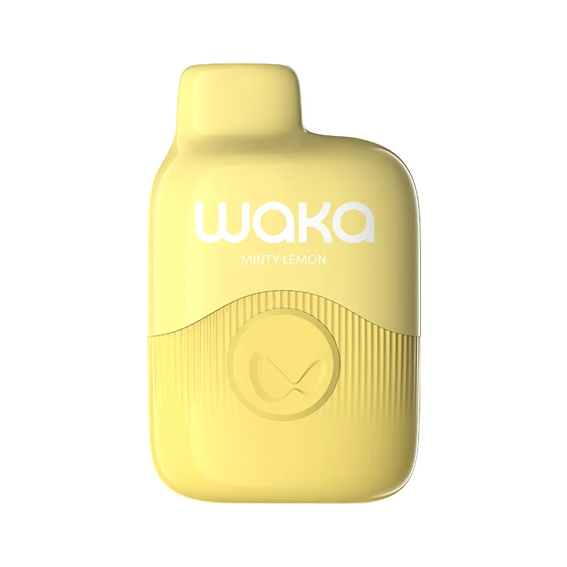 Waka - soPro PA600 - E-Shisha - 600 Züge - Minty Lemon