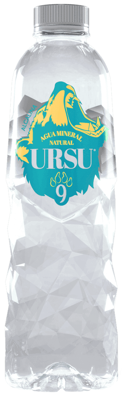 Ursu Wasser - By Cristiano Ronaldo - 0,5l