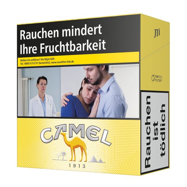 Camel - Yellow 6XL