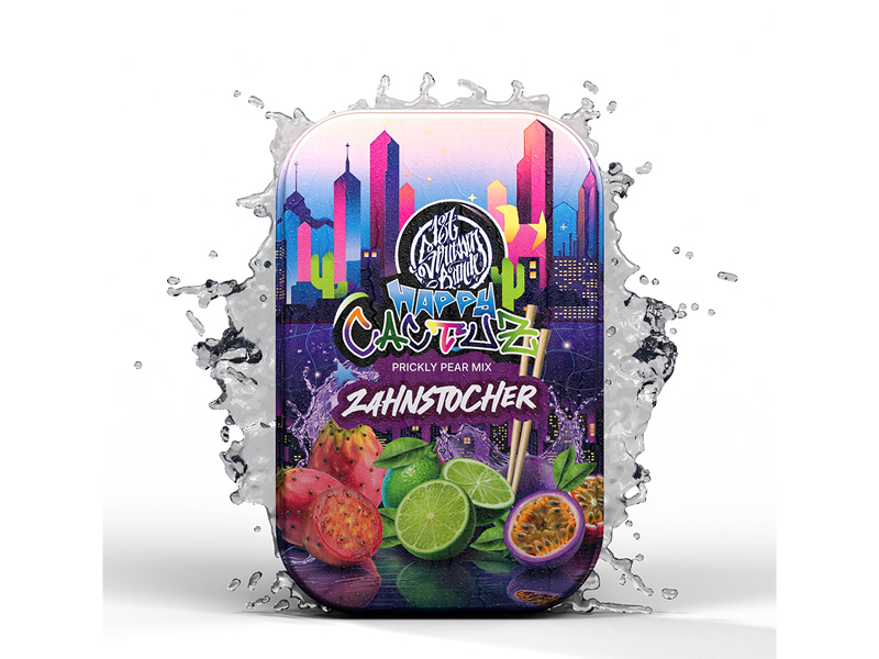 187 Zahnstocher - Happy Cactuz - 100er Dose
